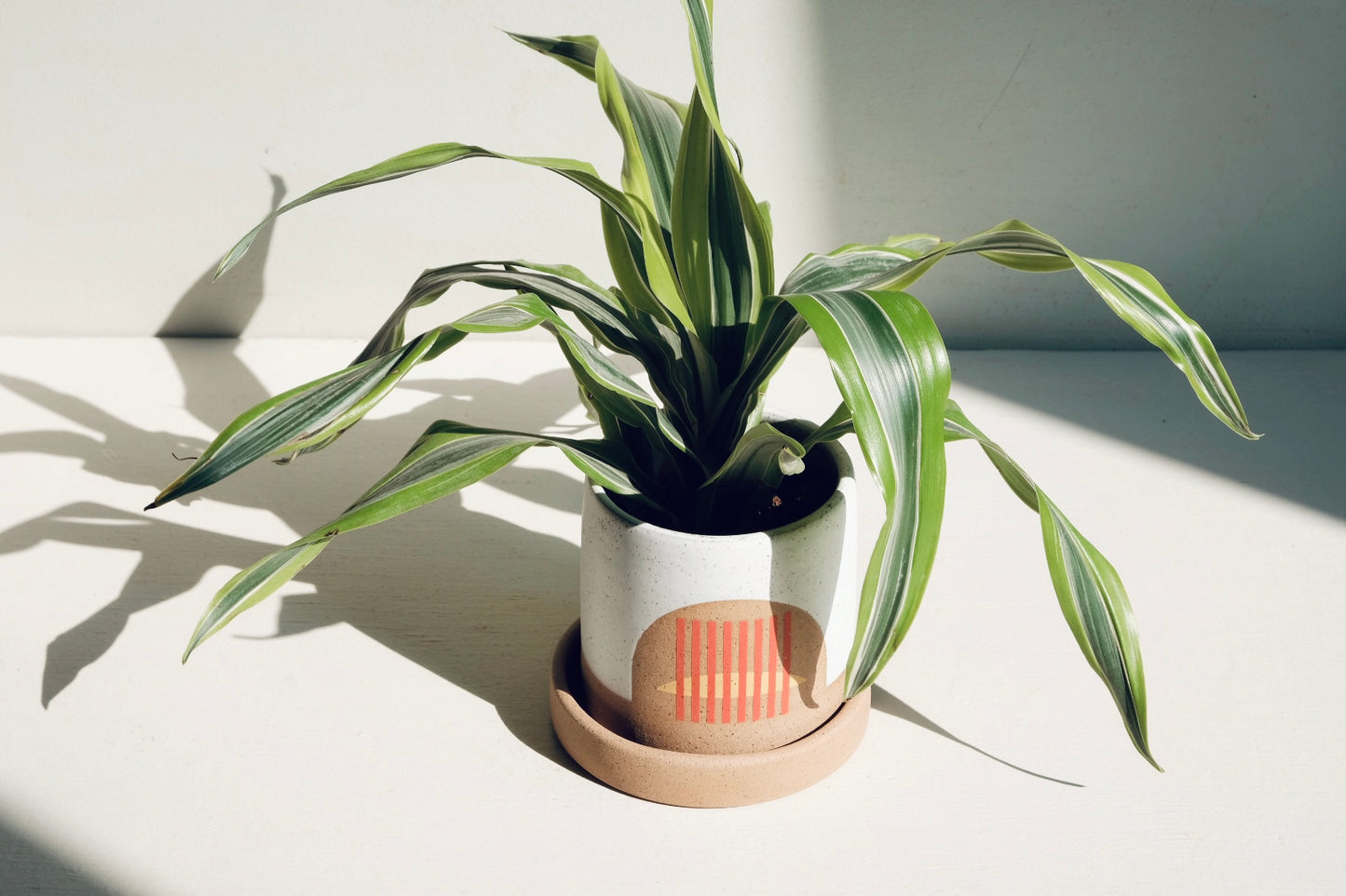 Wolf Planter SECOND