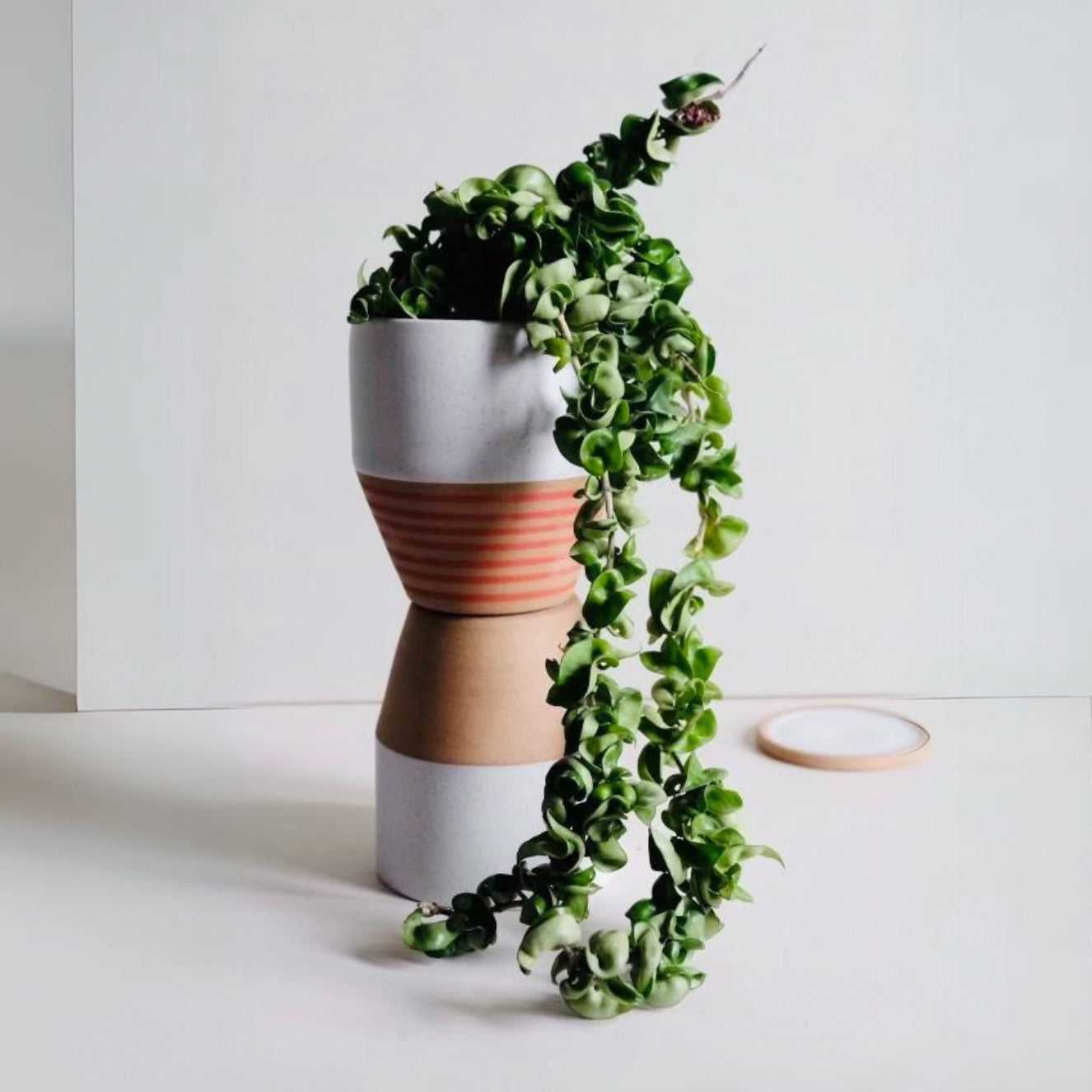 Large Angular Planter With Tray